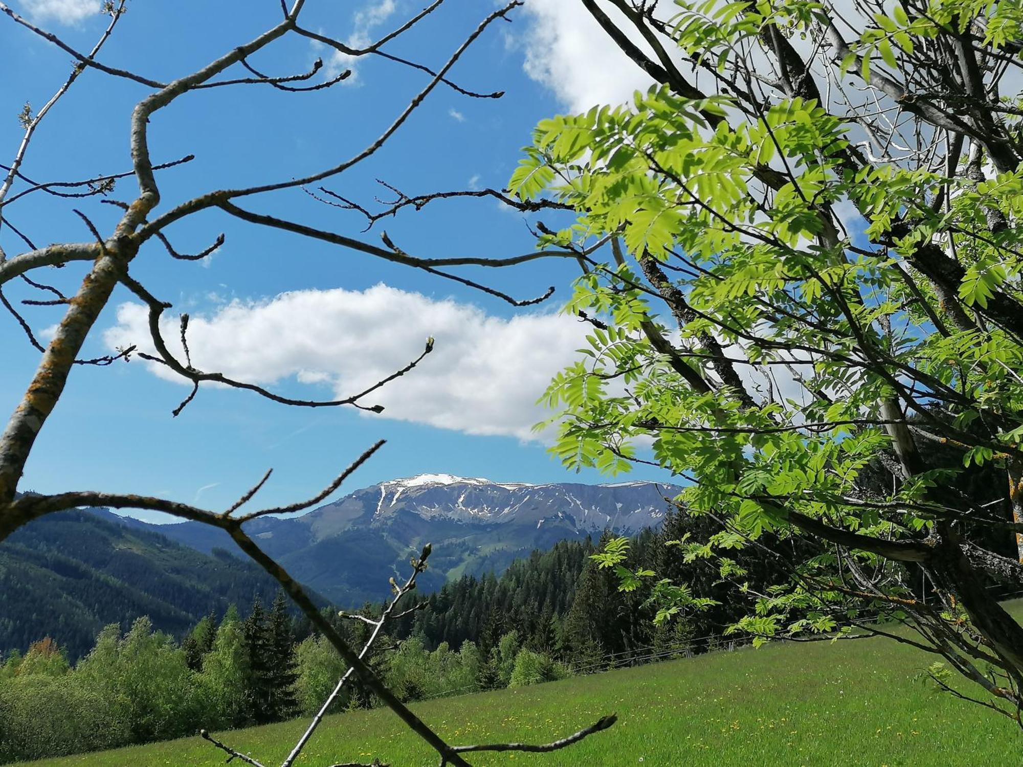 Apartmán Waldhaus Klein-Veitsch, Auszeit Im Gruenen Niederaigen Exteriér fotografie