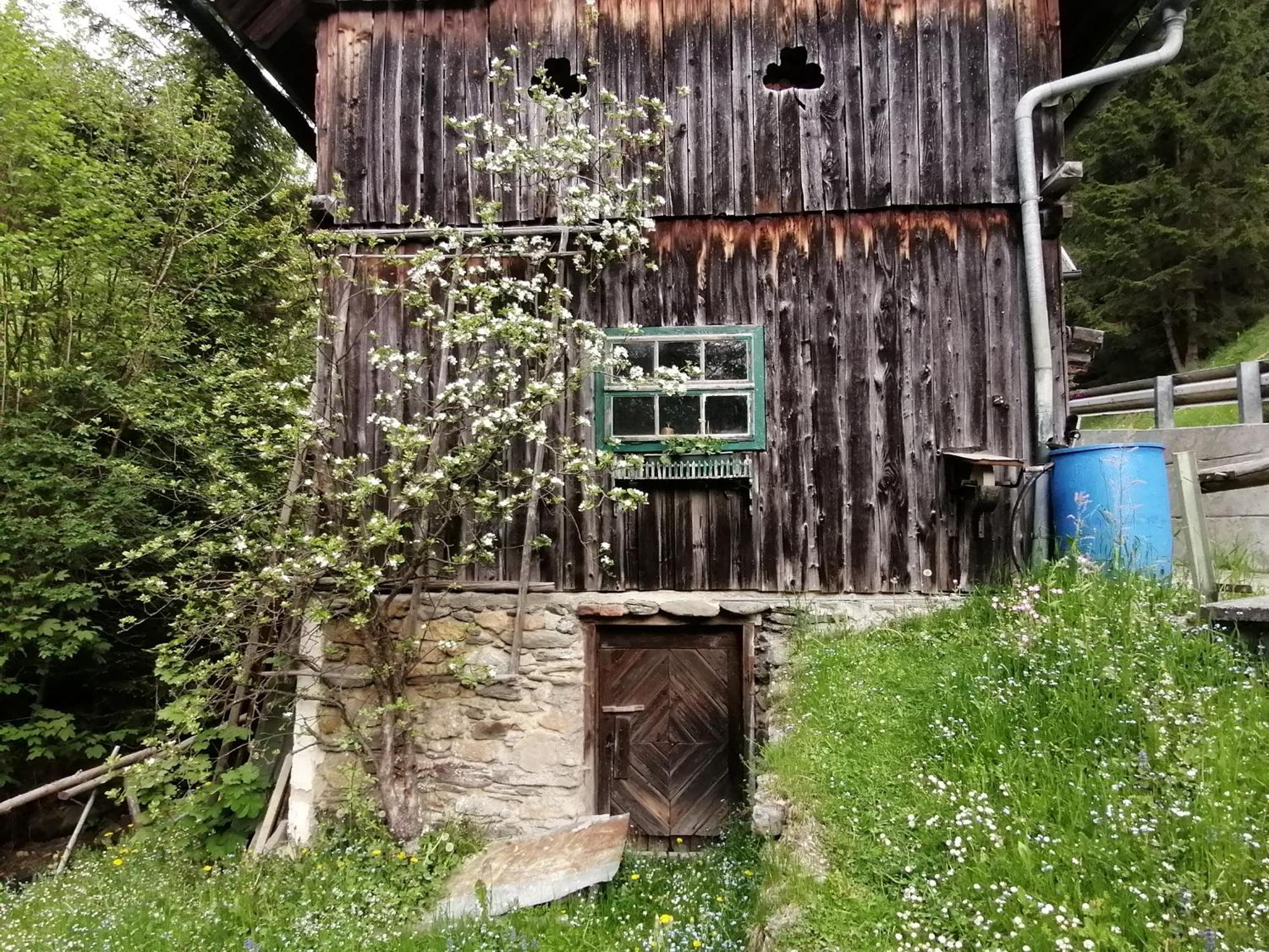 Apartmán Waldhaus Klein-Veitsch, Auszeit Im Gruenen Niederaigen Exteriér fotografie